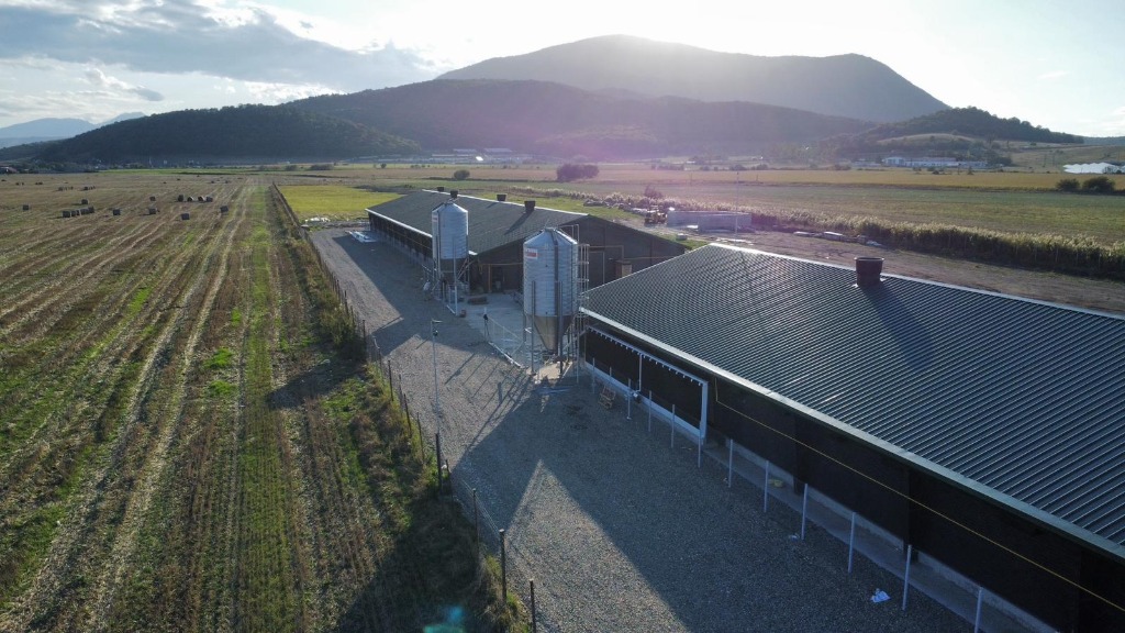 Hale tineret exterior